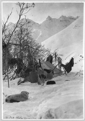 צילום היסטורי-פינדס: אוהל אקספלורר, חפצים מעוגנים בבטחה, אלסקה, AK, קמפינג, שלג, 1900-1930