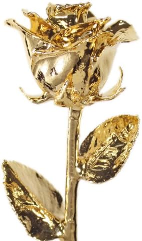 Allmygold 24K זהב טבל ונוס ורד מקורי בקופסת מתנה