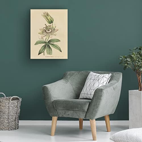 סימן מסחרי אמנות 'צמחי צמחים בוטניים XXI' אמנות קנבס מאת תיק אפל פראי