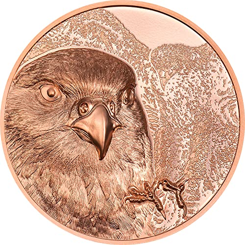 2023 DE Wild Mongolia Powercoin Falcon Copper Coin 1000 Togrog Mongolia 2023 הוכחה