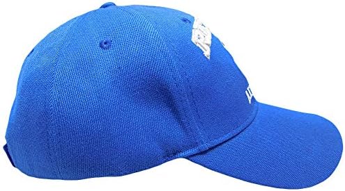 חיל האוויר האמריקאי בדימוס כנפי רויאל כחול רקום כובע כובע