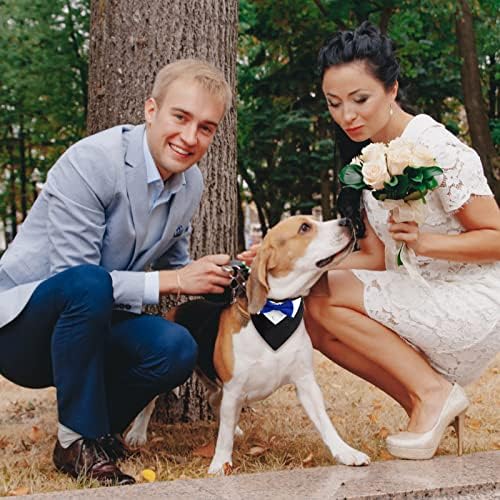 Urroma 1 חבילה כחולה קשת פורמלית כלב טוקסידו בנדנה, צווארון כחול כלב מתכוונן לחתונה מחמד תלבושות מחמד לכלבים וחתולים קטנים, L